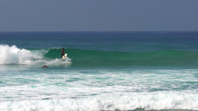 surfing 4k