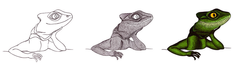 Profile Lizard. Hand drawn.tutorial drawing