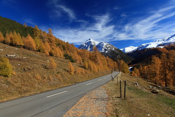 Reise in die Schweiz