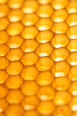 honeycomb closeup yellow abstract vertical background
