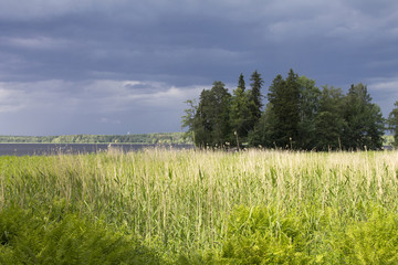 Before a storm. Beautiful landscape on the river Bank. Contrasting green grass lit by the sun and a dark, heavy cloud covering the sky. Heavy rain.