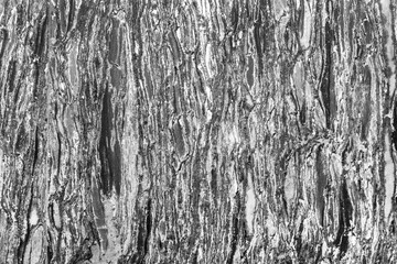 Fototapeta premium granite texture - marble layers design gray stone slab surface g