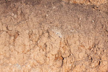 Soil cut in the steppe