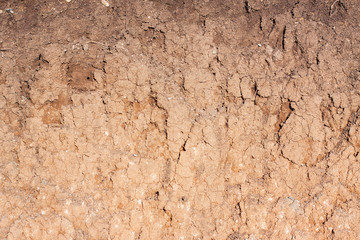 Soil cut in the steppe