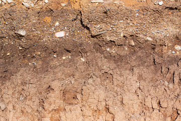Soil cut in the steppe
