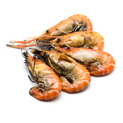 Grilled prawn on white background