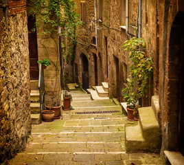 Fototapety  Wąska ulica średniowiecznego miasta tuf Pitigliano z zielonymi roślinami i brukowanymi schodami, podróż Włochy vintage tło