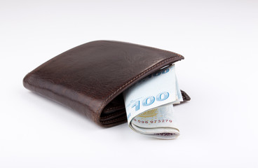 wallet and money