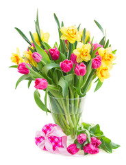 bouquet of   yellow daffodils and pink tulips 