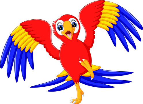 illustration of cute parrot cartoon