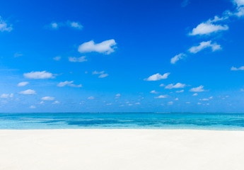 Fototapeta premium beautiful tropical sea
