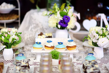 Decorated colorful cupcakes on a sweet table on some festive event