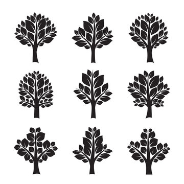 Set of Black Trees and Leafs. Vector Illustration.