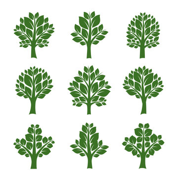 Set of Green Trees and Leafs. Vector Illustration.