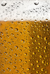 drops of water on the glass