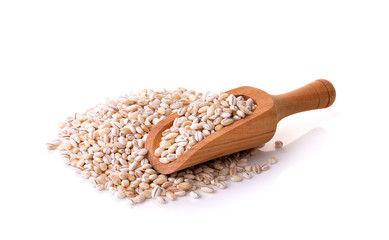 Barley Grains  on white Background