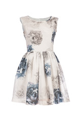  Retro dress isolated on white background
