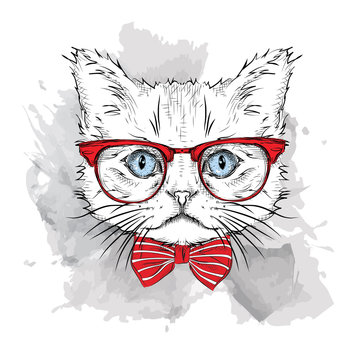 Picture of portrait of a cat with the glasses. Vector illustration.