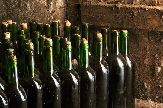 bottles with red wine  in old traditional wine cellar