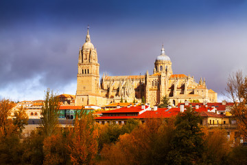 Fototapeta na wymiar Day view of Cathedral in Salamanca