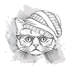 Hand draw cat in a hat. Vector illustration