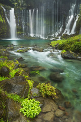 Fototapeta premium Shiraito Falls near Mount Fuji, Japan