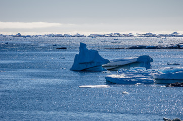 Icebergs in the Blue