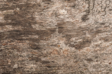Wood texture