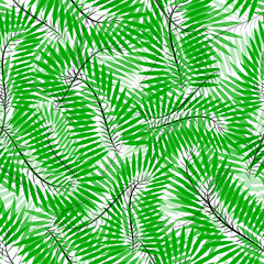Seamless of Chamaedorea leaves. pattern of tropical leaves for your design