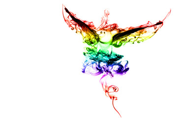 Obraz premium Color Bird