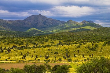 Sierra de las Palmas