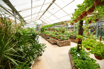 Gewächshaus im Gartencenter mit Pflanzen