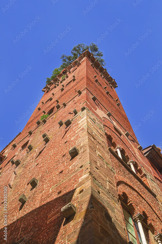 Canvas Prints Guinigi Tower facade ,famous monument in the historical center of Lucca,Tuscany