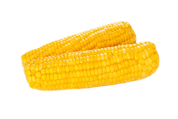 Ear of corn isolated on white