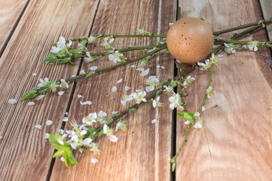Easter - Blooming Branches with Eggs