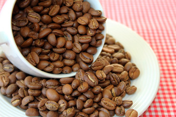 coffee beans