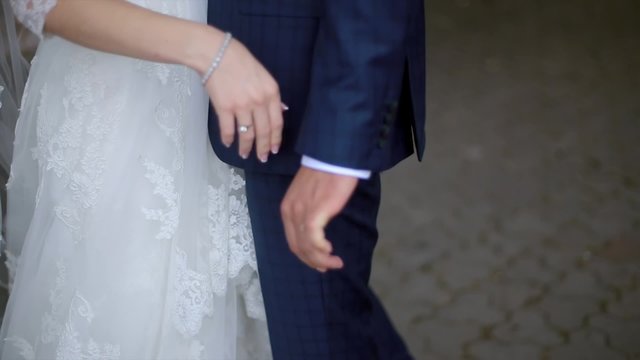 The Bride and Groom are Standing on a Beautiful Background and Cuddling.