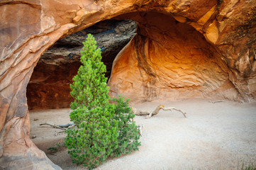 Arches National Park