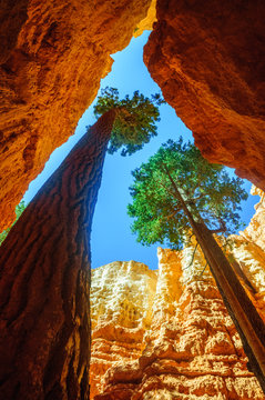 Bryce Canyon National Park