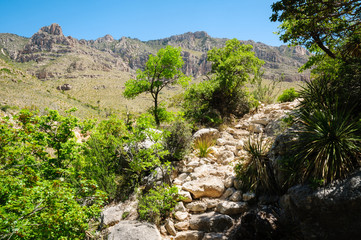 Fototapeta na wymiar Guadalupe Mountains National Park