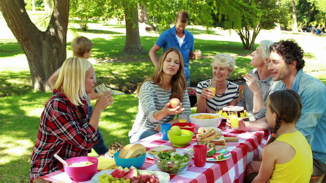 Family having picnic in the park