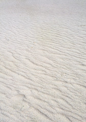 Big Bend National Park