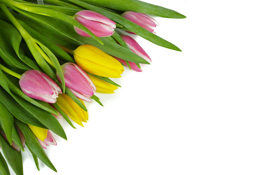Pink and yellow tulips bouquet on white background isolated