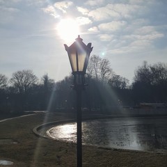 Lampa w parku © michalsen