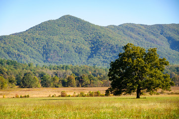 Great Smoky Mountains National Park