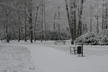 Park zimą. © boguslavus