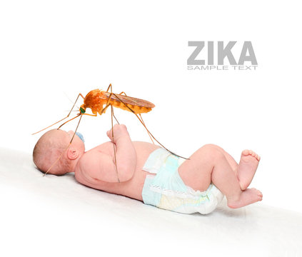 Newborn baby (Microcephaly disorder) with big mosquito. Zika infection control concept. Picture with space for your text.