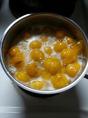 Sweet and sour plum sauce