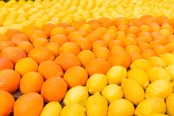 Many oranges and lemons during the festival of Menton, France © TravelWorld