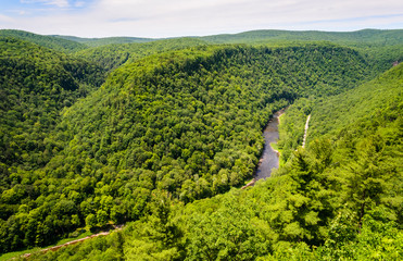 Pine Creek Gorge